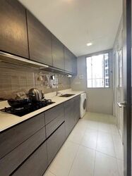 Rivertrees Residences (D28), Apartment #558047391